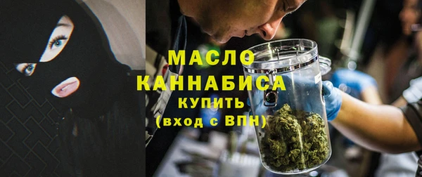ГАЛЛЮЦИНОГЕННЫЕ ГРИБЫ Вяземский