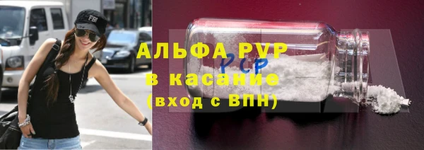 ГАЛЛЮЦИНОГЕННЫЕ ГРИБЫ Вяземский