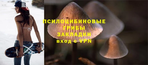 молекула духа Горнозаводск