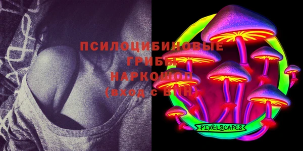 ГАЛЛЮЦИНОГЕННЫЕ ГРИБЫ Вяземский