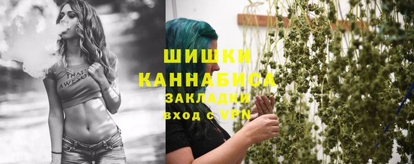 ГАЛЛЮЦИНОГЕННЫЕ ГРИБЫ Вяземский