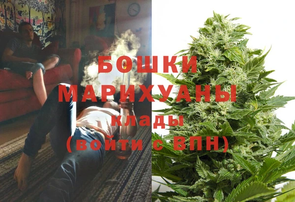 PSILOCYBIN Вязьма