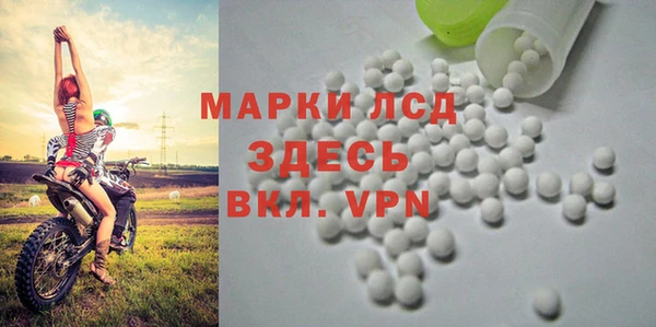 PSILOCYBIN Вязьма