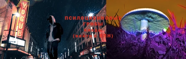 ГАЛЛЮЦИНОГЕННЫЕ ГРИБЫ Вяземский